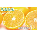 【ふるさと納税】早生みかん5kg(大小混合)《ご家庭用》ちょっと訳あり 和歌山県より農園直送!まごころ産直みかん 【北海道・沖縄県・一部離島 配送不可】ミカン ...