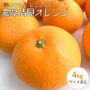 【ふるさと納税】濃厚清見オレンジ 約4kg サイズ混合 「和