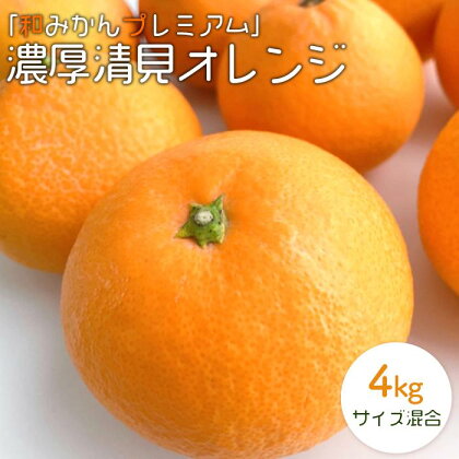 濃厚清見オレンジ 約4kg サイズ混合 「和みかんプレミアム」 【北海道・沖縄・一部離島 配送不可】森本農園 | フルーツ 果物 くだもの 産地直送 ふるさと納税 和歌山県 海南市 オレンジ 柑橘 みかん 食品 人気 おすすめ 送料無料 家庭用