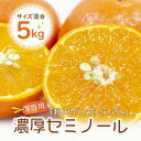 濃厚セミノール 家庭用 5kg サイズ混合 「和みかんプレミアム」森本農園 | フルーツ 果物 くだもの 産地直送 ふるさと納税 和歌山県 海南市 オレンジ 柑橘 みかん 食品 人気 おすすめ 送料無料 家庭用