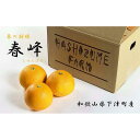 【ふるさと納税】春峰 約3kg L・2L・3Lサイズおまかせ 《赤秀》 和歌山県産 農園直送 まごころ産直みかん 【北海道・沖縄県・一部離島 配送不可】 しゅんぽう 清見 水晶文旦 春 果物 柑橘【Mg4】 | みかん 蜜柑 フルーツ 果物 くだもの 食品 人気 おすすめ 送料無料
