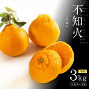 【ふるさと納税】不知火3kg（大玉9～11玉入り)《赤秀》和