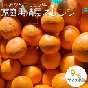 【ふるさと納税】家庭用清見オレンジ 約9kg サイズ混合 「