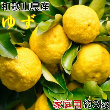 和歌山県産 柚子約3kg （ご家庭用）【TM119】 | フルーツ 果物 くだもの 食品 人気 おすすめ 送料無料