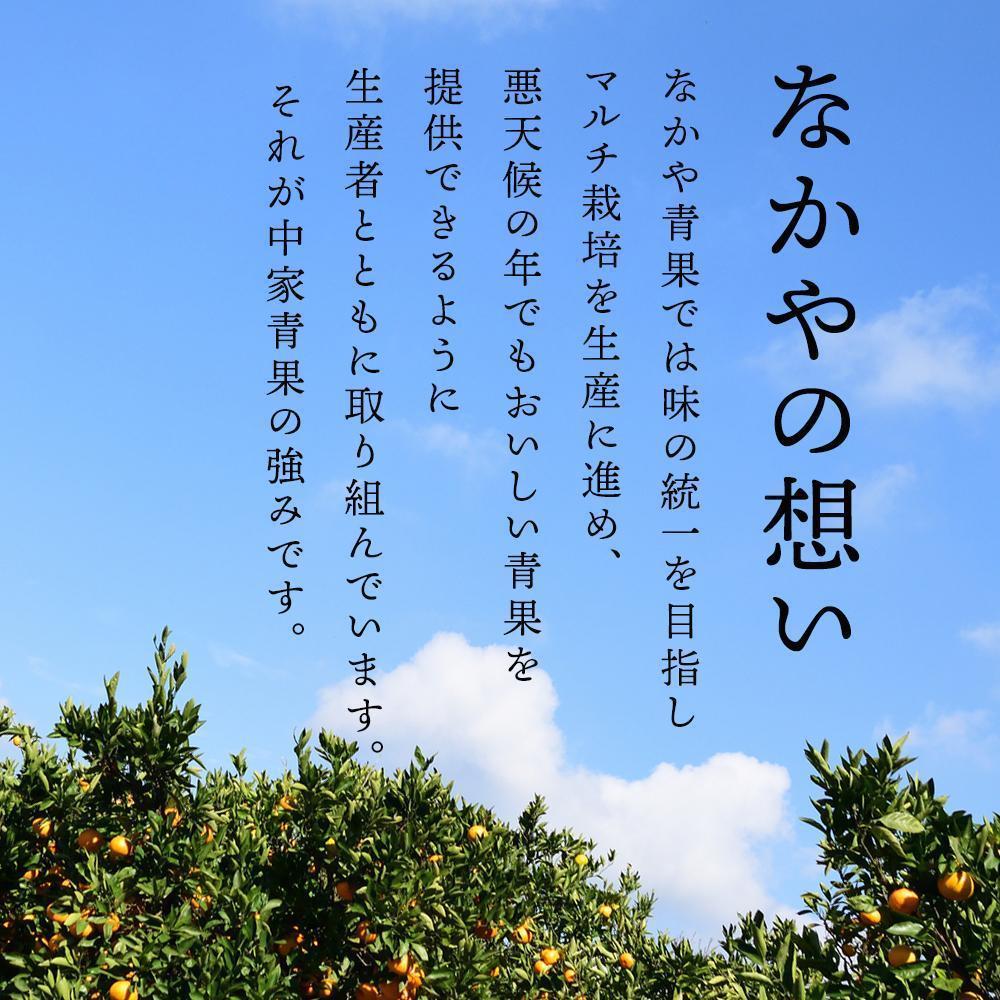 【ふるさと納税】和歌山県産 糖度9.5度 以上 訳あり みかん 2.5kg または 7kg 傷み補償+200g 3S ～ 3Lサイズ混合 | みかん 和歌山県 和歌山県産 糖度 訳あり ミカン ワケアリ ご家庭用 家庭用 お取り寄せ お取り寄せグルメ