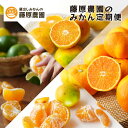 【ふるさと納税】【毎月お届け全12回】みかんのサブスク 定期便 頒布会|旬のカンキツを産地直送で毎月お届け 家庭用 和歌山県 海南市 【毎月お届け全12回】 |...