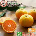【ふるさと納税】【選べる内容量と配送時期】早生みかん(大小混合)《ご家庭用》ちょっと訳あり 和歌山県より農園直送!まごころ産直みかん 【北海道・沖縄県・一部離島...