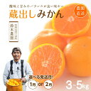 【ふるさと納税】蔵出しみかん【選べる3kg・5kg】小粒S・SS or S・M・Lサイズお任せ<1月発送・2月発送!>和歌山県みかんの鈴木農園より直送|贈答 ギ...