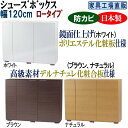 【ふるさと納税】【全3色】高級素材仕様 シューズボックス 幅120 ロータイプ | インテリア ファニチャー 家具 人気 おすすめ 送料無料