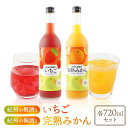 【ふるさと納税】紀州のイチゴ梅酒 720ml・完熟みかん梅酒 720ml セット