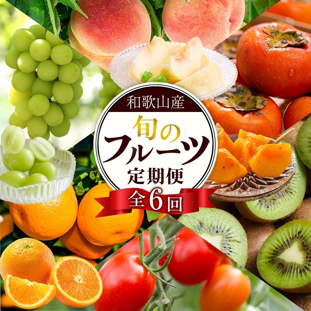 【ふるさと納税】和歌山の旬の果実を 奇数月にお届け全6回定期便【TM49】