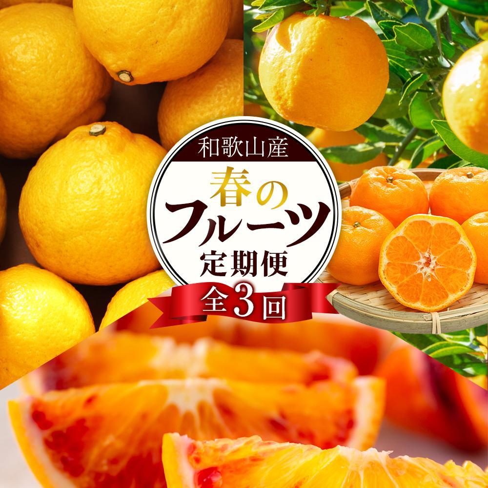 【ふるさと納税】定期便全3回 【2月・3月・4月発送】 和歌山の春の柑橘 (ポンカン・はるか・ブラッドオレンジ)秀品【TM173】 | フルーツ 果物 くだもの 食品 人気 おすすめ 送料無料