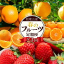 【ふるさと納税】定期便全3回 【2月・3月・4月発送】 和歌山の春のフルーツ (ポンカン・清見オレンジ・まりひめ)【TM174】 | フルーツ 果物 くだもの ...