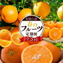 【ふるさと納税】和歌山の春のフルーツ(ポンカン・清見オレンジ・セミノールオレンジ)定期便 全3回 【2月・3月・4月発送】【TM184】 | フルーツ 果物 くだもの 食品 人気 おすすめ 送料無料 定期便 産地直送