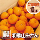 【ふるさと納税】【訳あり】和歌山みかん 約9.5kg+補償分約500g...(4)