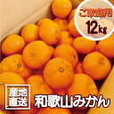 【ふるさと納税】【訳あり】和歌山みかん約11kg+補償分約1kg サイ...(4)