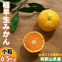 【ふるさと納税】小粒みかん【訳あり】6.5kg 2S3Sサイズ【下津の極早生みかん】10月〜11月 まごころ産直みかんより農園直送 ※北海道・沖縄・離島への配送...