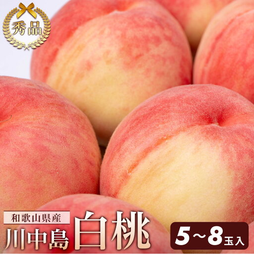 【ふるさと納税】和歌山県産 川中島白桃 5~8玉入り 秀品 先行予約【2025年7月下旬以降発送】【MG7】 【ふるさと納税】和歌山県産 川中島白桃 5~8玉入り 秀品 先行予約【2025年7月下旬以降発送】【MG7】