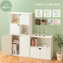 【ふるさと納税】【完成品でお届け】収納ボックス(選べる5色×3タイプ)収納棚 扉付き キャビネット ラック 棚 カラーボックス スリム 2段 可動棚 本棚 収納家具 リビング LKANET300248