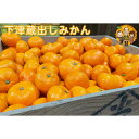 【ふるさと納税】【選べる容量】下津蔵出しみかん 約3kg or 約5kg S~Lサイズいずれか 山下農園 | みかん 蜜柑 フルーツ 果物 くだもの 食品 人気 おすすめ 送料無料 産地直送