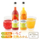 【ふるさと納税】紀州のイチゴ梅酒 720ml・完熟みかん梅酒 720ml セット