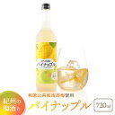 【ふるさと納税】紀州の梅酒とパイナップル 720ml 中野BC UMESHUfor | 酒お酒 さけ 人気 おすすめ 送料無料 ギフト