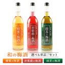 【ふるさと納税】【選べる種類】和の梅酒 約720ml 蜂蜜の梅酒 ・赤紫蘇の梅酒 ・緑茶の梅酒 | 酒お酒 さけ 人気 おすすめ 送料無料 ギフト