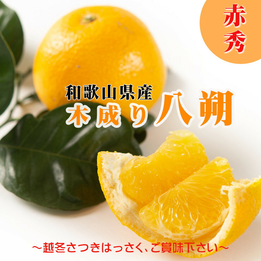 【ふるさと納税】八朔 はっさく 赤秀 約6kg|和歌山県海南市産 木成り 完熟はっさく フルーツ 柑橘系【2026年先行予約】甘酸っぱくて爽やか!3月下旬〜4月...