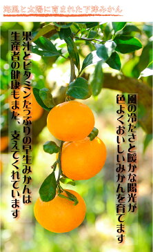 【ふるさと納税】早生みかん3L又は2Lサイズ6kg・ちょっと訳ありご家庭用 まごころ産直みかんより農園直送!※2021年11月中旬〜2022年1月中旬頃発送予定※北海道・沖縄・離島への発送は不可