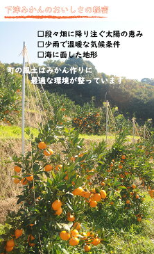 【ふるさと納税】早生みかん3L又は2Lサイズ6kg・ちょっと訳ありご家庭用 まごころ産直みかんより農園直送!※2021年11月中旬〜2022年1月中旬頃発送予定※北海道・沖縄・離島への発送は不可