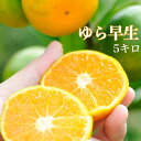 【ふるさと納税】ゆら早生みかん5キロ 2S〜3S混合サイズ 味の濃い極早生みかんをお届けします。まごころ産直みかん※2020年10月中旬頃〜2020年11月中旬頃に順次発送予定