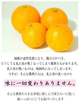 【ふるさと納税】清見オレンジ・ちょっと訳あり　ご家庭用10kg　まごころ産直みかんより農園直送！※2021年3月中旬〜4月下旬頃発送予定※北海道・沖縄・離島への発送不可