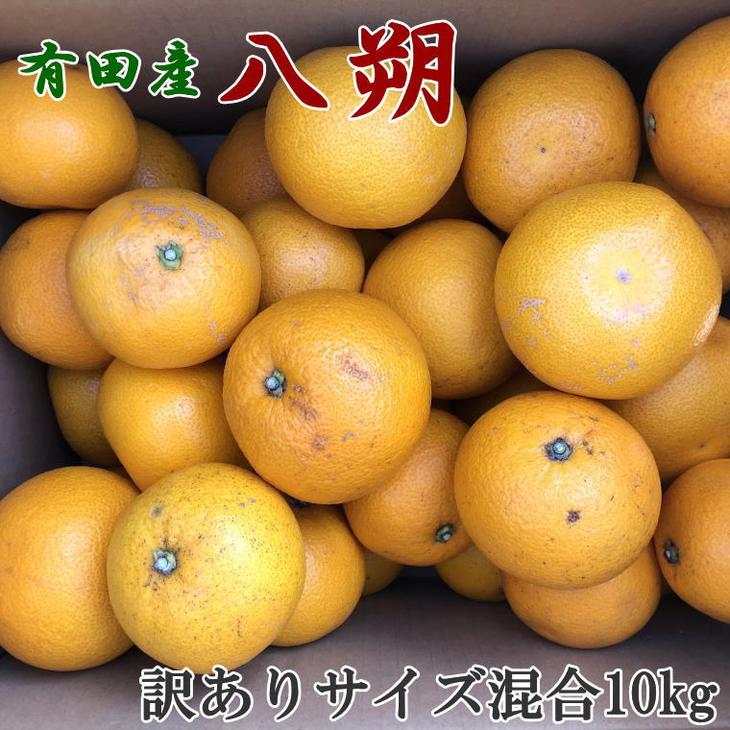 【ふるさと納税】【2022年1月中旬〜発送】【手選果・訳あり】有田産の八朔10kg（サイズ混合） ※着日指定不可