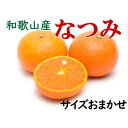 【ふるさと納税】【希少柑橘】和歌山産なつみ約5kg(S〜2Lサイズおまかせ)