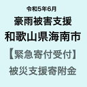 10位! 口コミ数「0件」評価「0」【令和5年6月豪雨災害支援緊急寄附受付】和歌山県海南市災害応援寄附金（返礼品はありません）