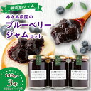 【ふるさと納税】あさみ農園のブルーベリージャムセット(140g瓶×3本)【1073824】