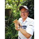 和歌山県橋本市の画像3