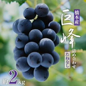 【ふるさと納税】【2025年夏発送】 和歌山県橋本市産(種無し)巨峰 ぶどう詰め合わせ 約2kg【配送不可地域:離島】【1135025】