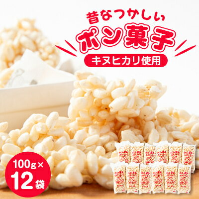 【ふるさと納税】昔なつかしい　ポン菓子(100g×12袋)【1143588】