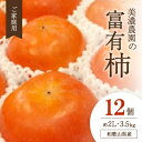 【ふるさと納税】和歌山県産 美濃農園の富有柿 ご家庭用 12個(2Lサイズ程度)【配送不可地域:離島・北海道・沖縄県】【1253533】