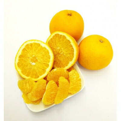 和歌山県橋本市の画像3