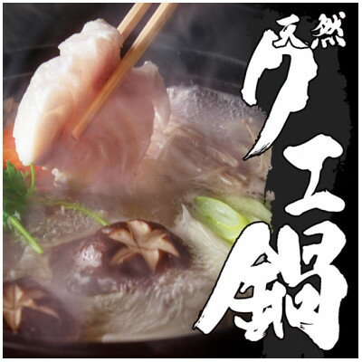 天然クエ鍋セット 肉厚&コラーゲンたっぷり[配送不可地域:離島]