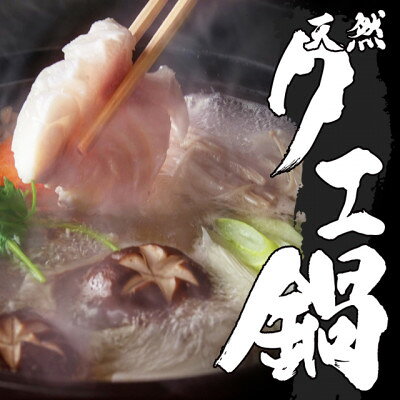 天然クエ鍋セット 肉厚&コラーゲンたっぷり 【約1Kg(4人前相当)】【配送不可地域：離島】【1275223】