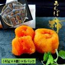 【ふるさと納税】あんぽ柿 (40g×4個)×6パック【1373047】