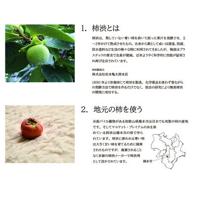 【ふるさと納税】天然の抗菌・消臭剤「柿渋」使用 mayu-ket premium ハーフサイズ パーシモンベージュ【1380244】 [3]