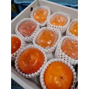 【ふるさと納税】柿の食べ比べセット 9個入り(2L〜3L)【1392507】