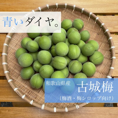 【 5月下旬より順次発送】和歌山県産希少品種 古城梅 3kg Lサイズ以上　梅酒・梅シロップに!【配送不可地域：離島】【1406435】