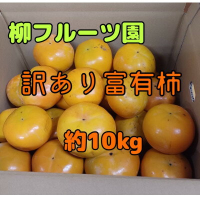 【ふるさと納税】柳フルーツ園の訳あり富有柿 約10kg【14