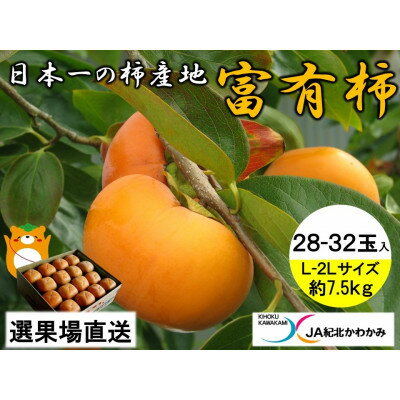 JA紀北かわかみ 富有柿(約7.5kg) L-2Lサイズ 28-32玉入【1463564】