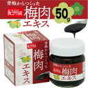 【ふるさと納税】青梅からつくった紀州産梅肉エキス【1箱50g入り】【1496566】
